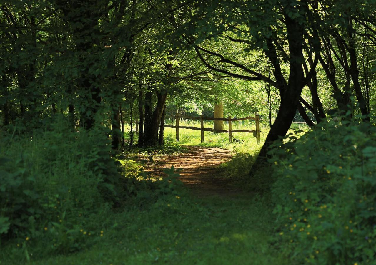Domaine De Fresnoy Bed & Breakfast Loison-sur-Crequoise Luaran gambar