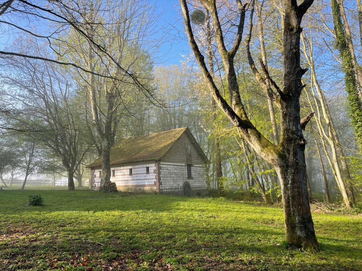 Domaine De Fresnoy Bed & Breakfast Loison-sur-Crequoise Luaran gambar