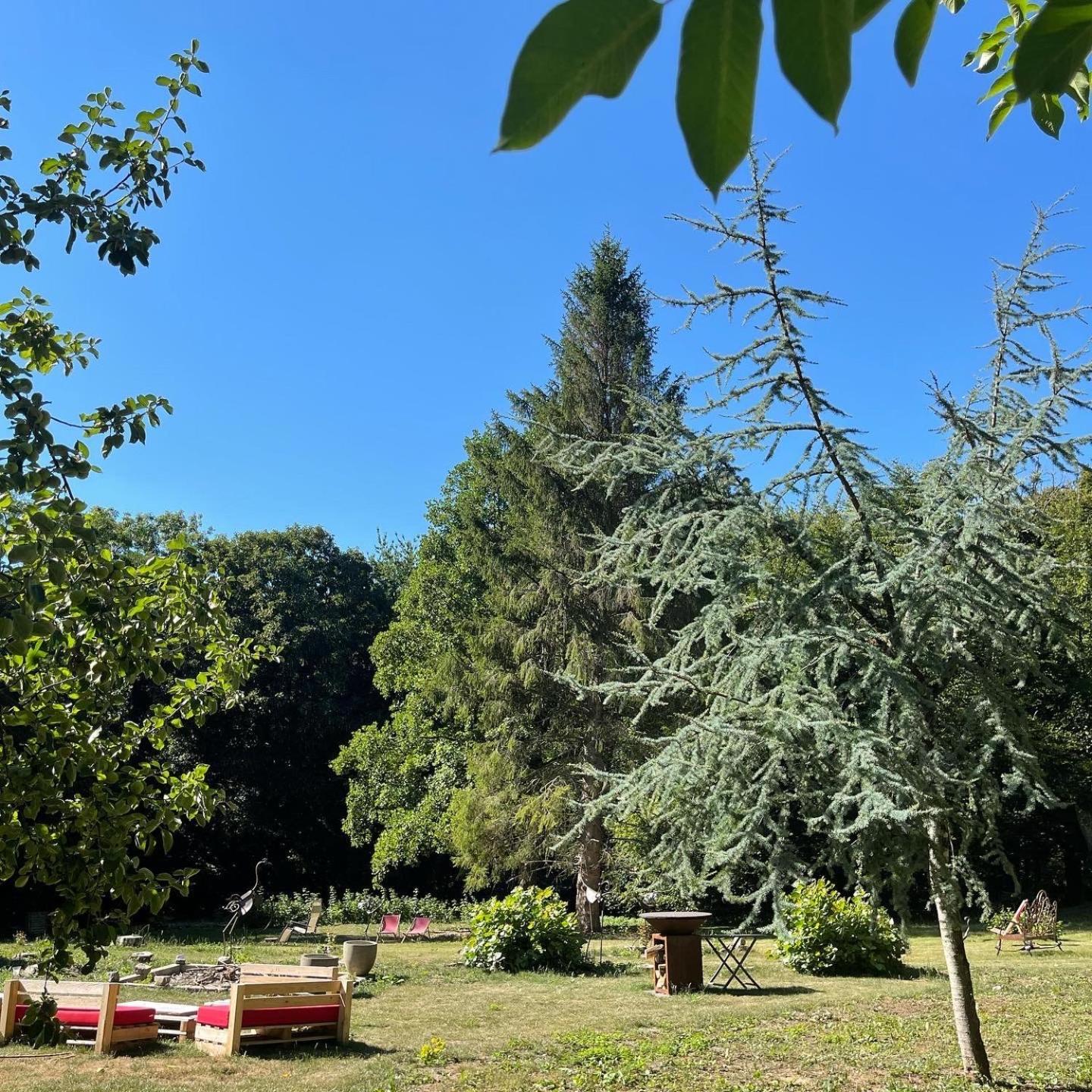 Domaine De Fresnoy Bed & Breakfast Loison-sur-Crequoise Luaran gambar