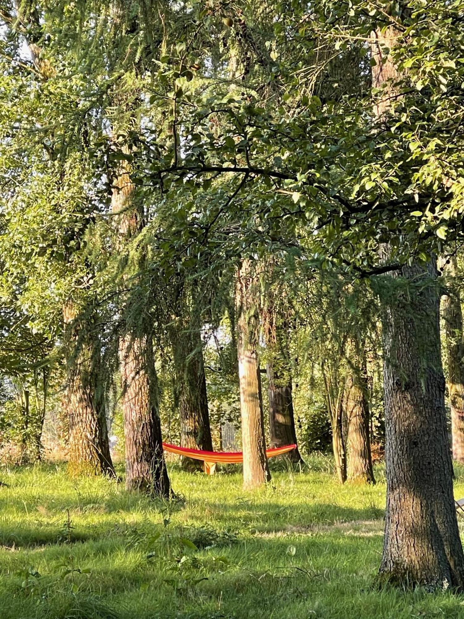 Domaine De Fresnoy Bed & Breakfast Loison-sur-Crequoise Luaran gambar