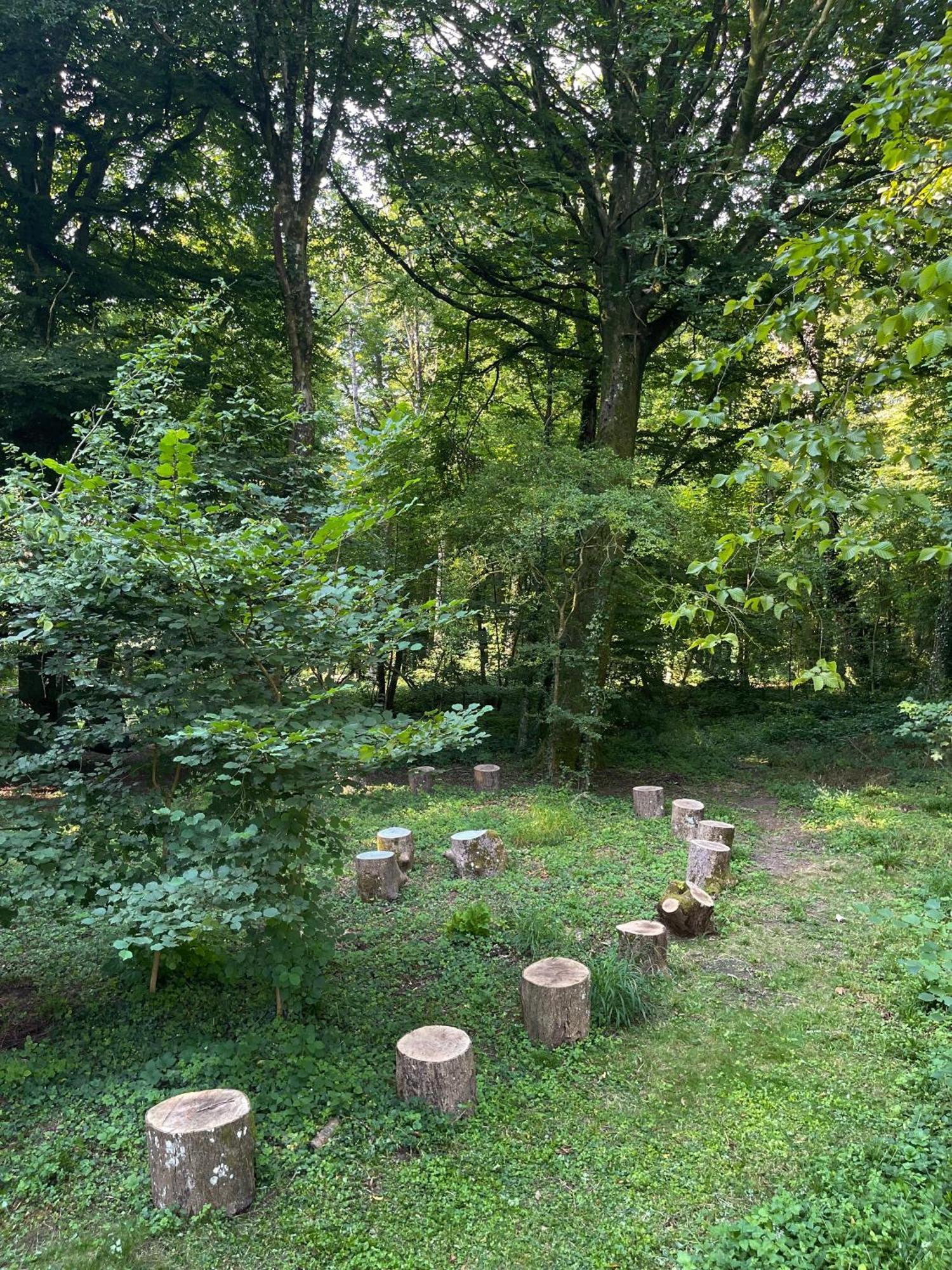 Domaine De Fresnoy Bed & Breakfast Loison-sur-Crequoise Luaran gambar